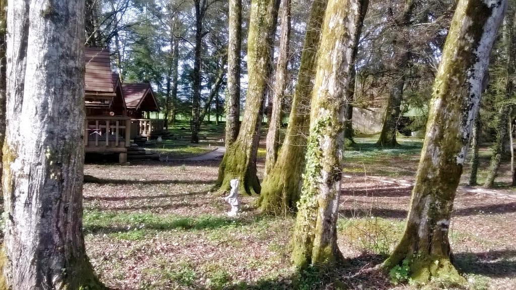 Chambres D'Hotes La Gargaille Alieze Luaran gambar