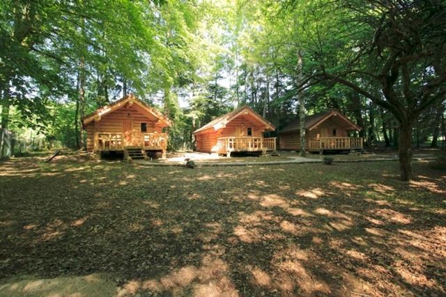 Chambres D'Hotes La Gargaille Alieze Luaran gambar