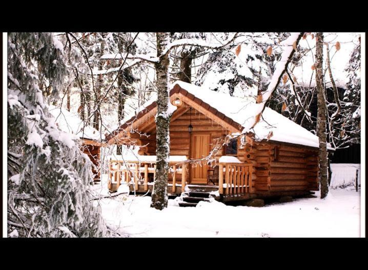 Chambres D'Hotes La Gargaille Alieze Luaran gambar